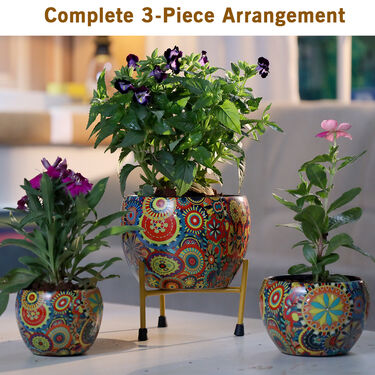 3 rainbow bloom decorative planters with stand