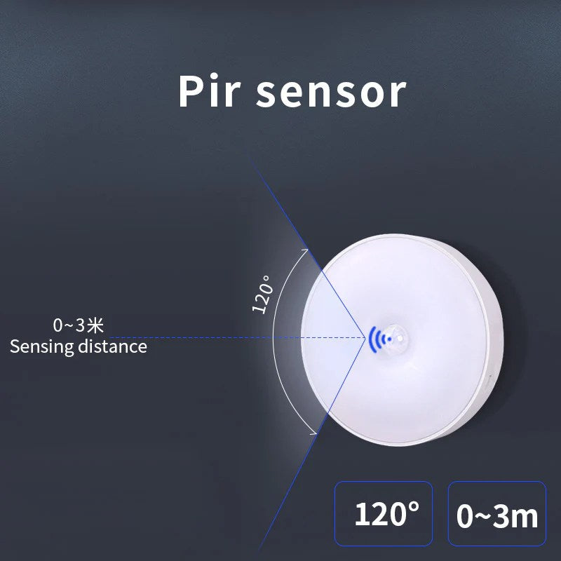 Motion sensor light