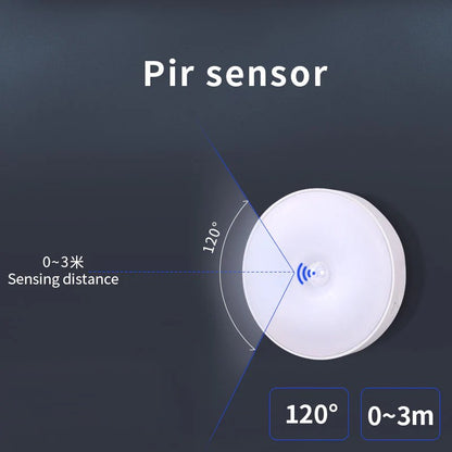 Motion sensor light