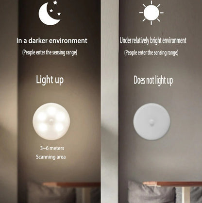 Motion sensor light