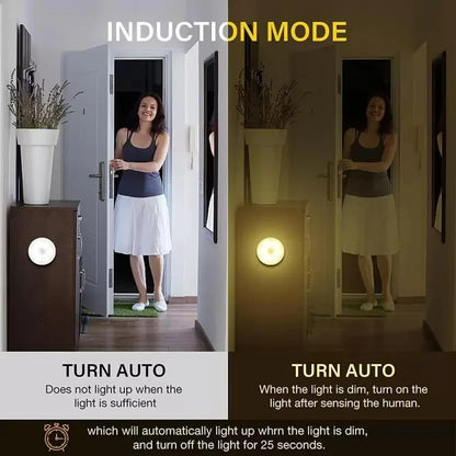Motion sensor light